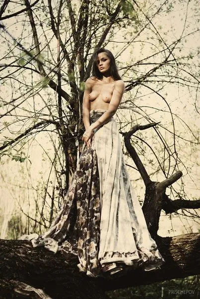 Alexandr Prischepov, Erotique