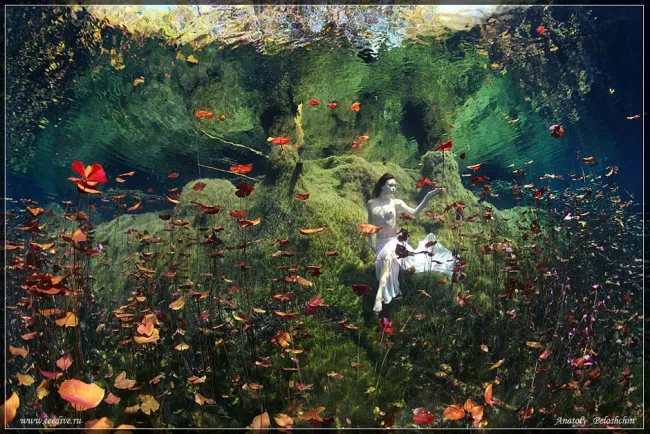 Алиса в стране чудес (подводное фото), 