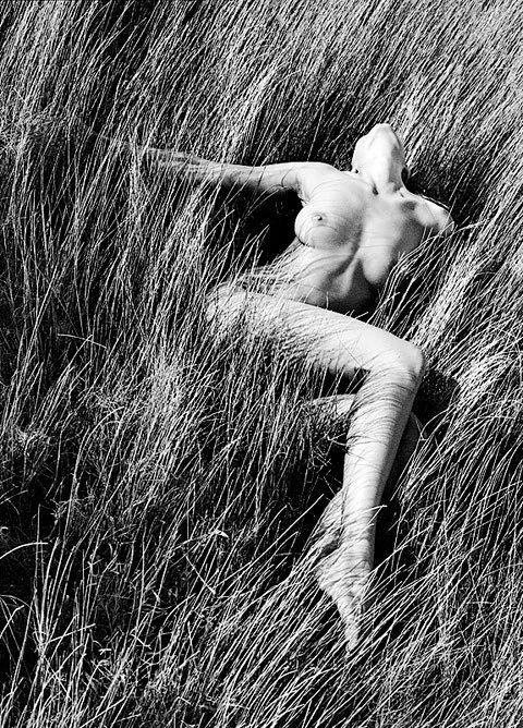 [Без текста], 