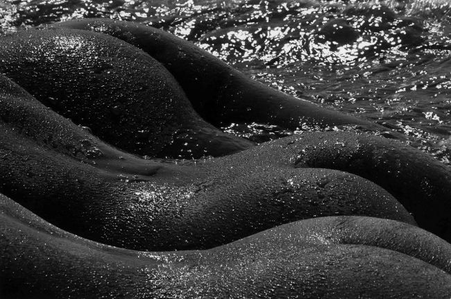 [Без текста], 