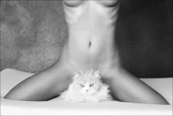 [Без текста], 