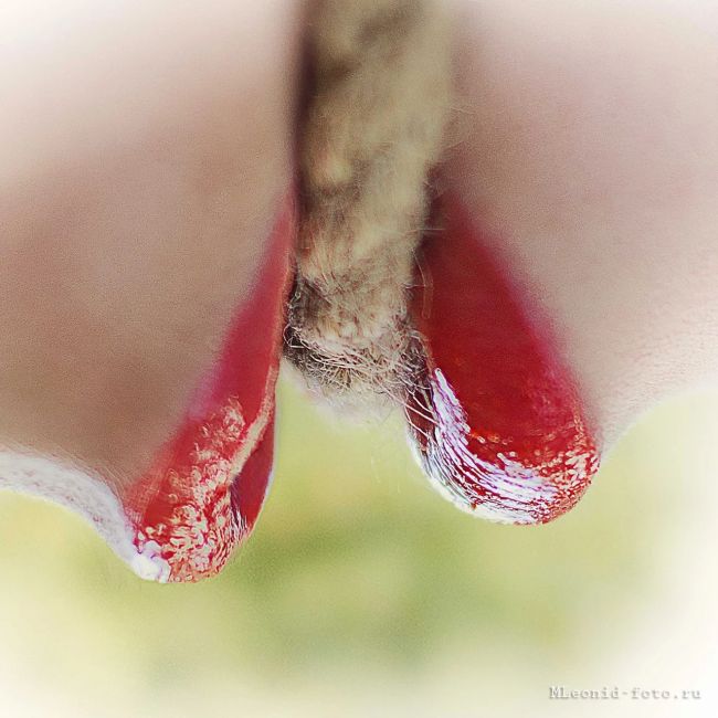 [Без текста], 