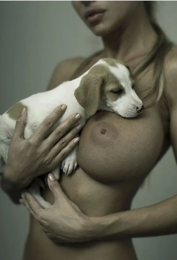 [Без текста], 