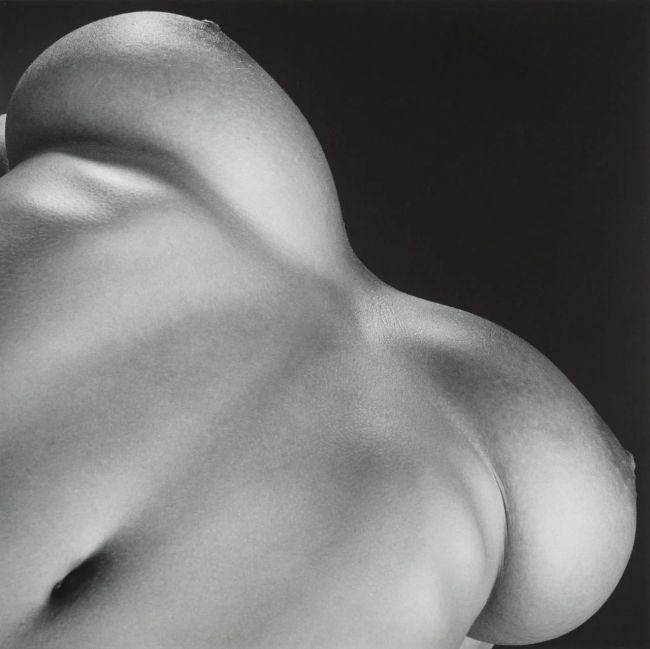 [Без текста], 