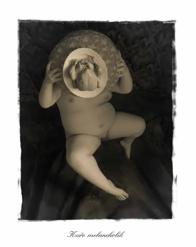 Chicken melancholie, 