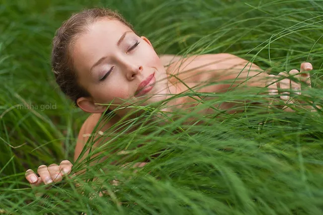 The deep forest, The deep forest,