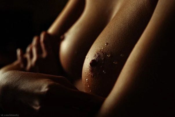 Дмитрий Боханов, 