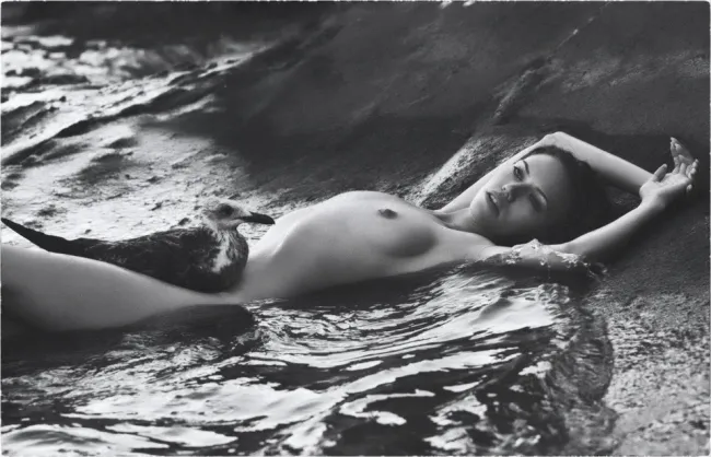 доверительные отношения..., 