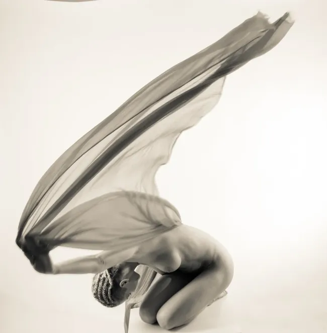 Эффект бабочки, 