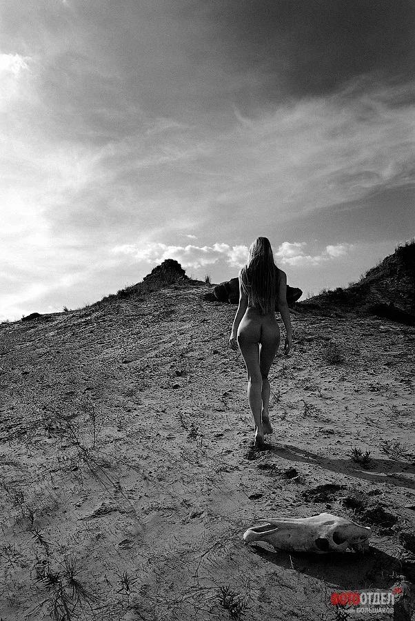 El camino del diablo II, 