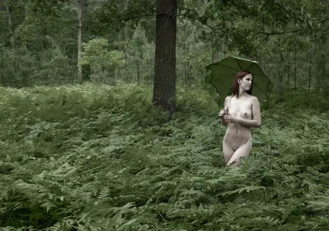 Этюд в салатовых тонах, Этюд в салатовых тонах,