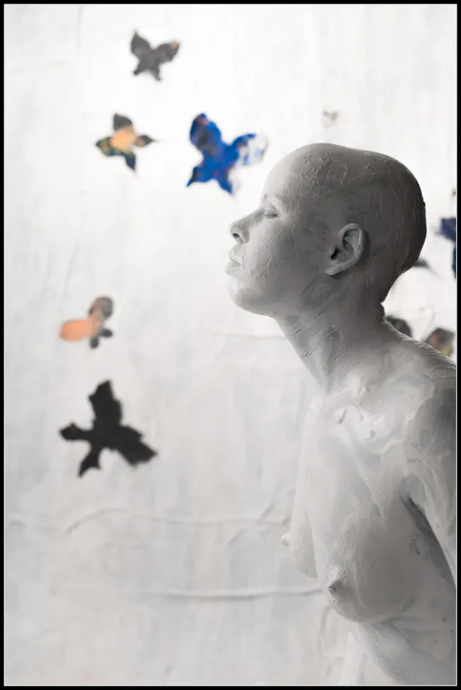 expectation for spring, expectation for spring,