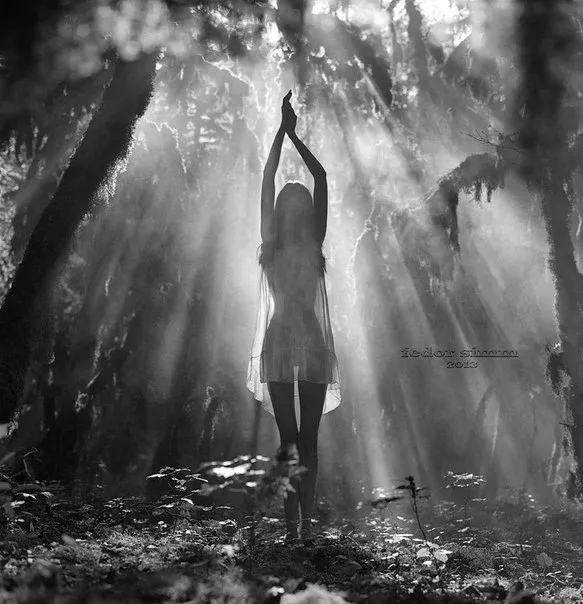 Галина Жижикина, Erotique