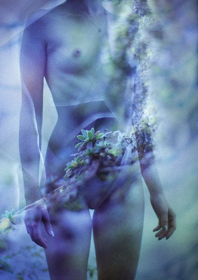 грибы, природа