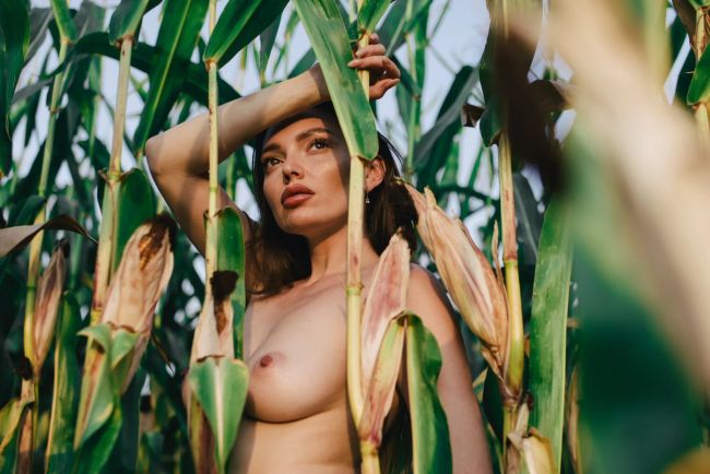 Inspiration., Erotique