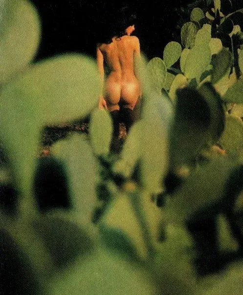 Inspiration, Erotique