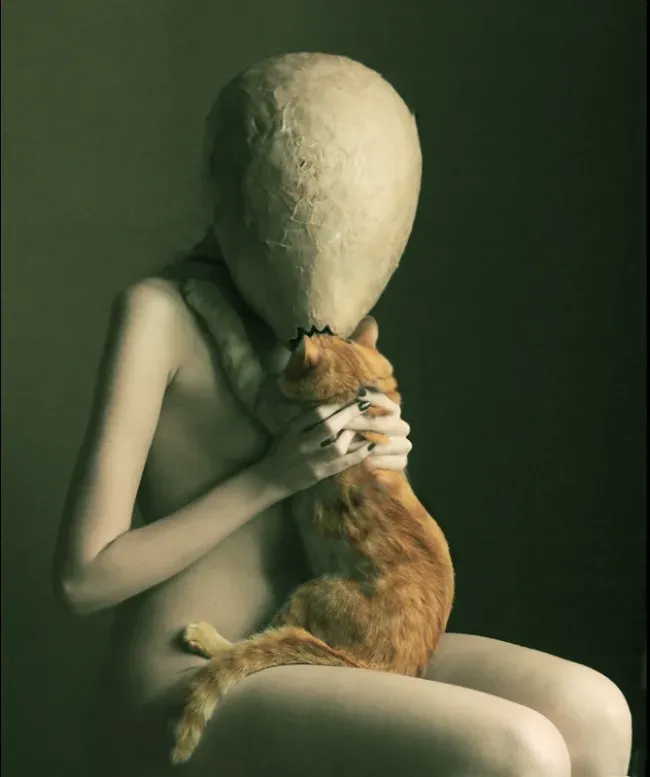 Котиковая Соссалла..., 