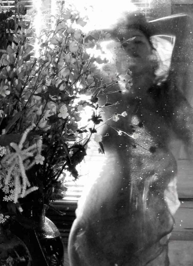 Лунная пыльца, 