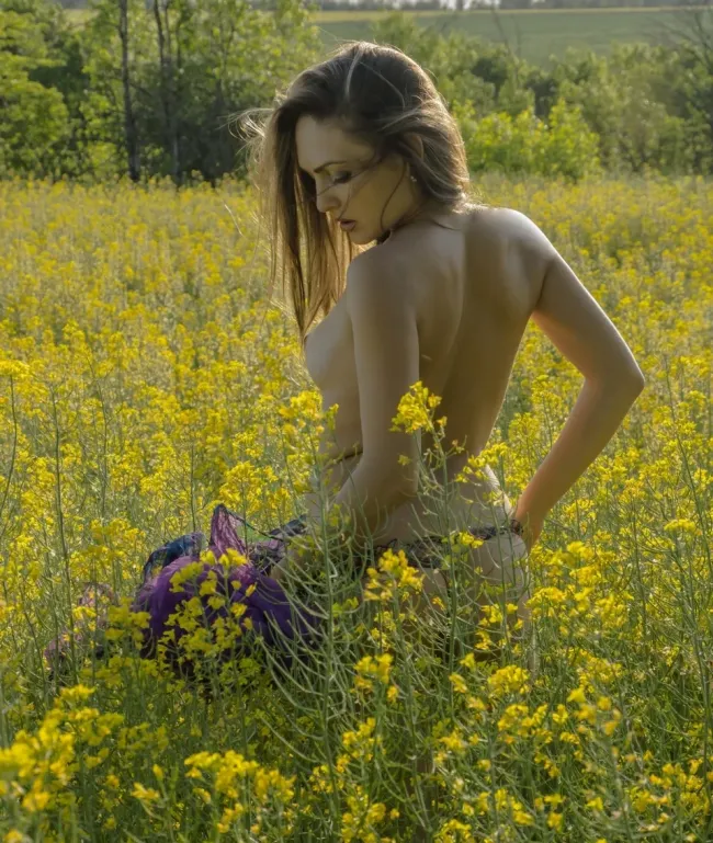 На рапсовом поле, 