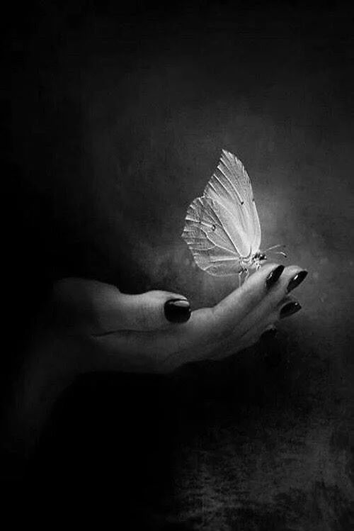 Ню #ЧерноБелое #ЧерноБелое, 