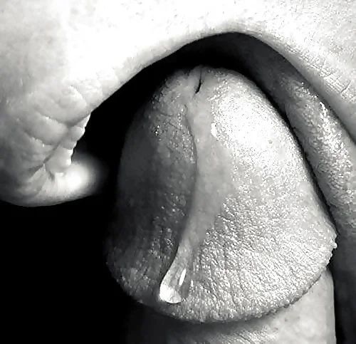 Ню ://...//. ЧерноБелое лизатьчлен, лизатьчлен