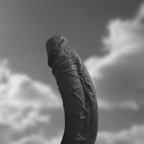 Ню #хуй #хуй #ЧерноБелое, хуй