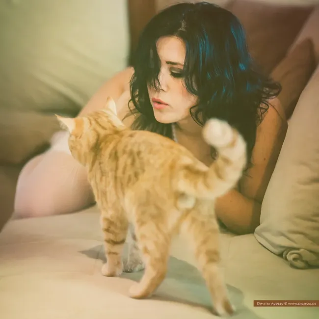 О кошках и кисках... Это был таки кот! :), киска, киска, кошка