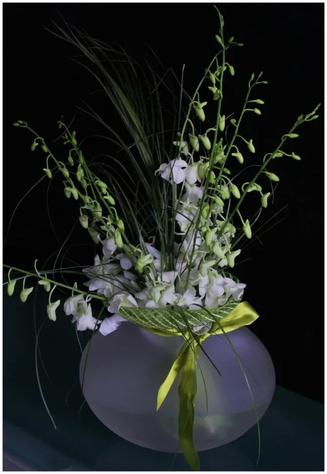 ***орхидеи, ***орхидеи,