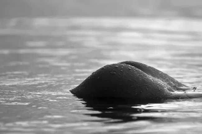 Острова веселые в океане есть ..., 