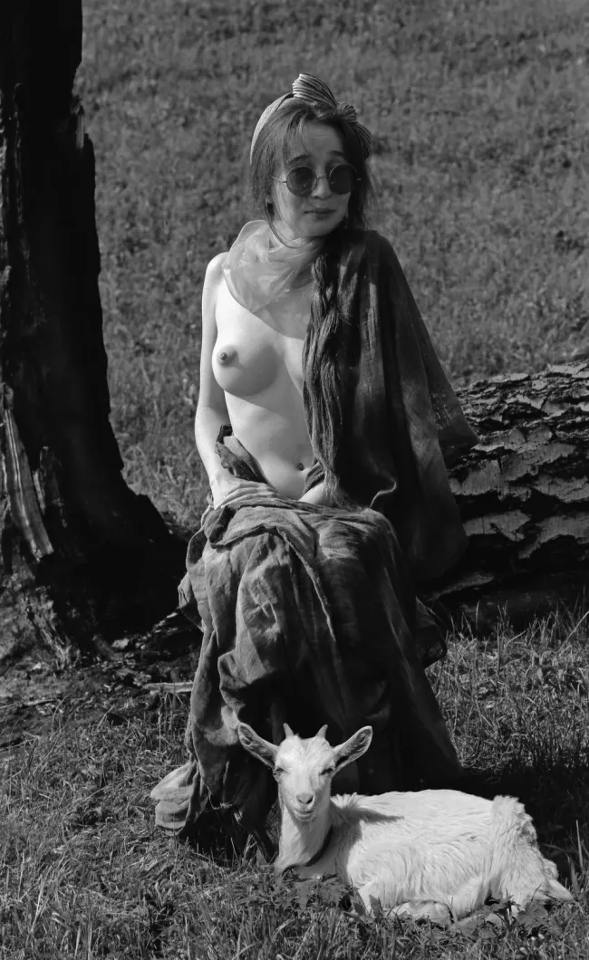 ***пастушка, 