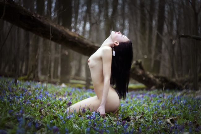 Ph Сергей Ящиков. В полном размере ALT ENTER., 