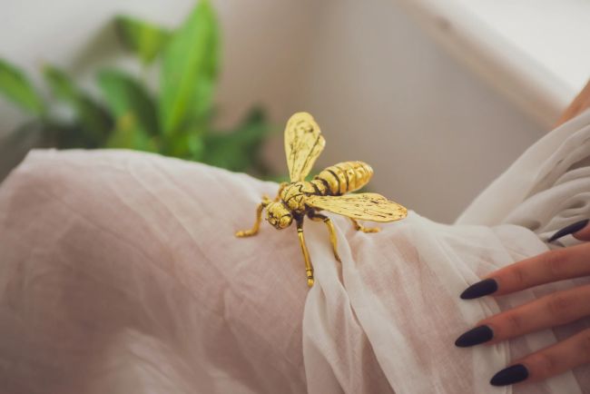 Ph: Степан Сопегин. Md: Юлия Кирякова., 