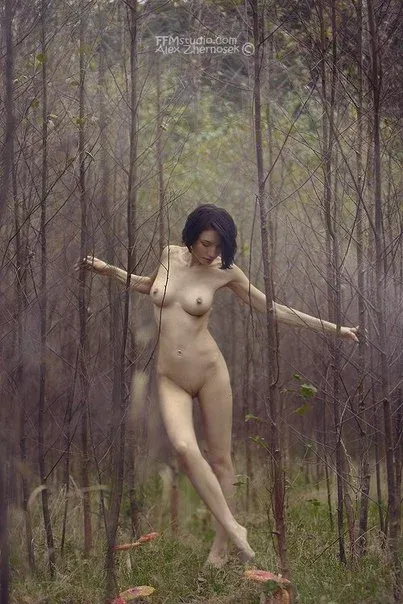 Photographer Alex Zhernosek, Erotique