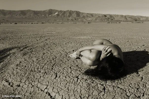 Photographer D Winge, Erotique