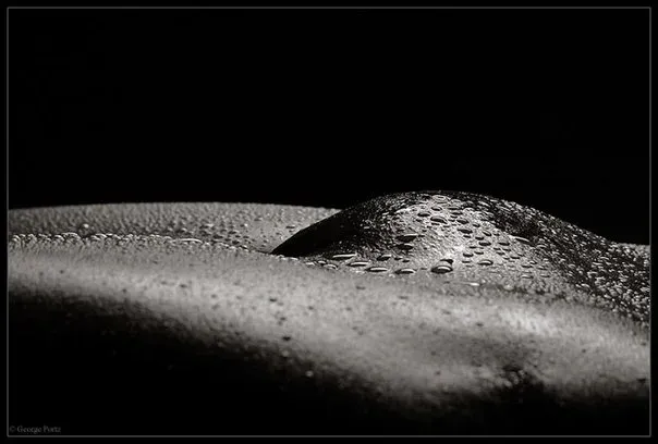 Photographer George Portz, Erotique