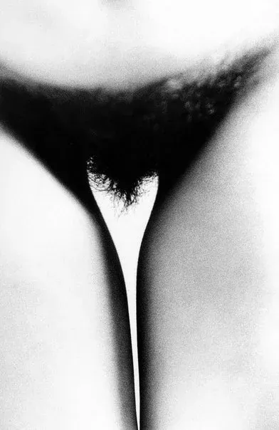 Photographer Ralph Gibson, Erotique