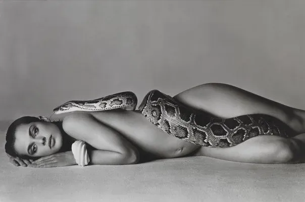 Photographer Richard Avedon, Erotique