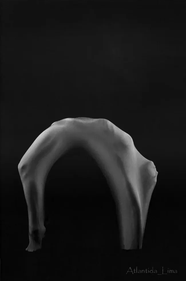 пластика 2, пластика 2,