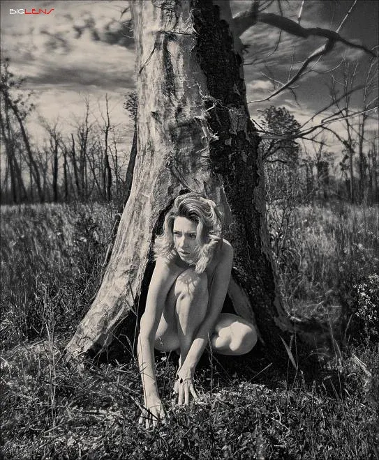 постапокалипсис. ню продолжается), 