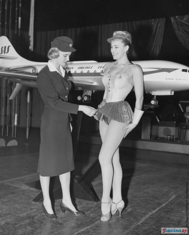 Предложение новой униформы для Scandinavian Airlines в 1964 году. Оно не было..., 