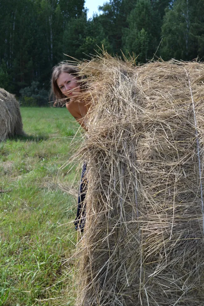 В разгар страды, 