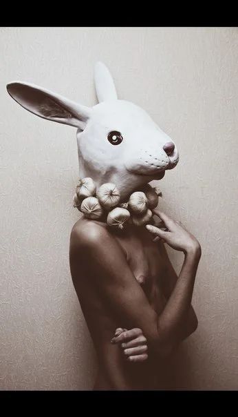 Влад Лисов, 