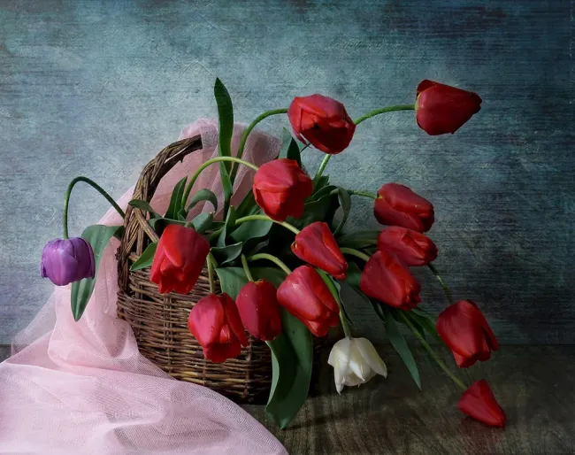 вместо подснежников..., 