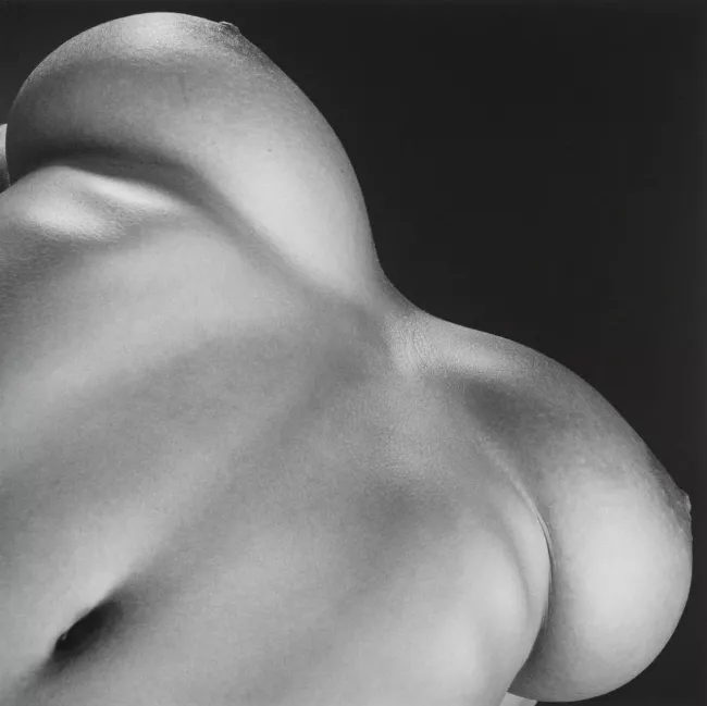 [Без текста], 