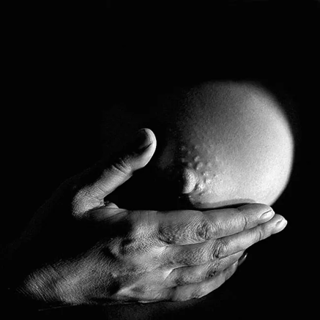 to the boobs and back, грудь