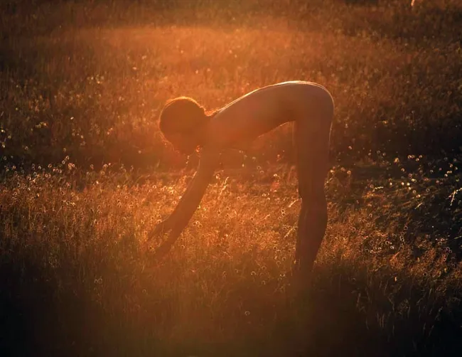 collection de floribus, природа