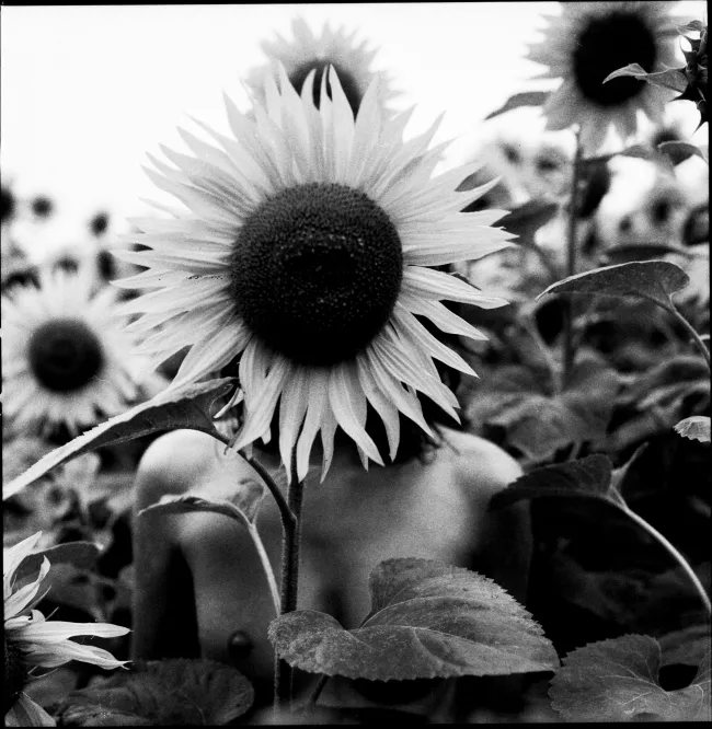 Inspiration., Erotique