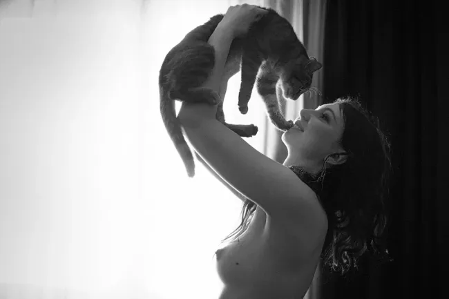 Кошка (11), кошка Кошка (11), кошка