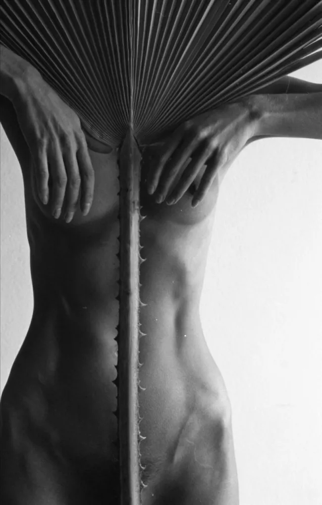 Model Linartica., Erotique Model Linartica., Erotique