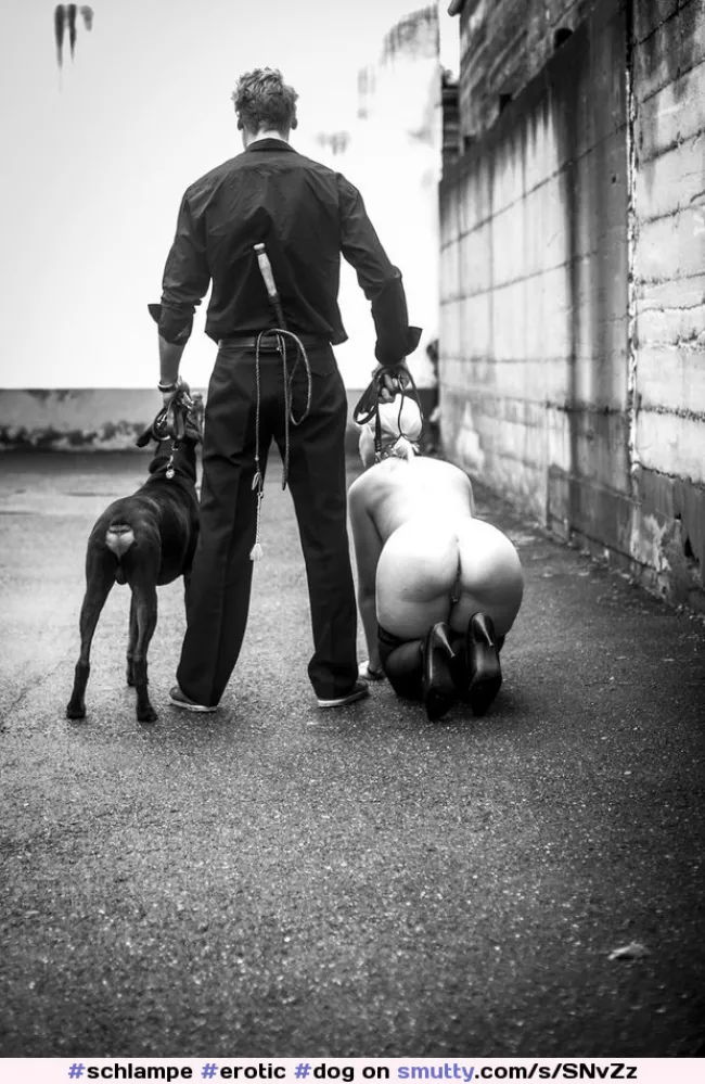 На прогулку, Сабмиссив